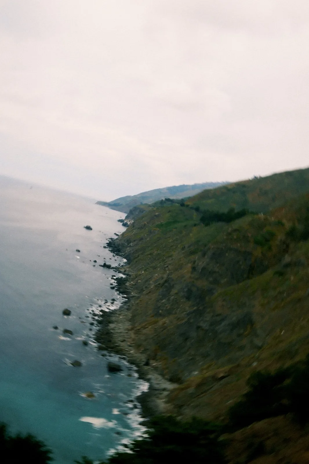 nature 1