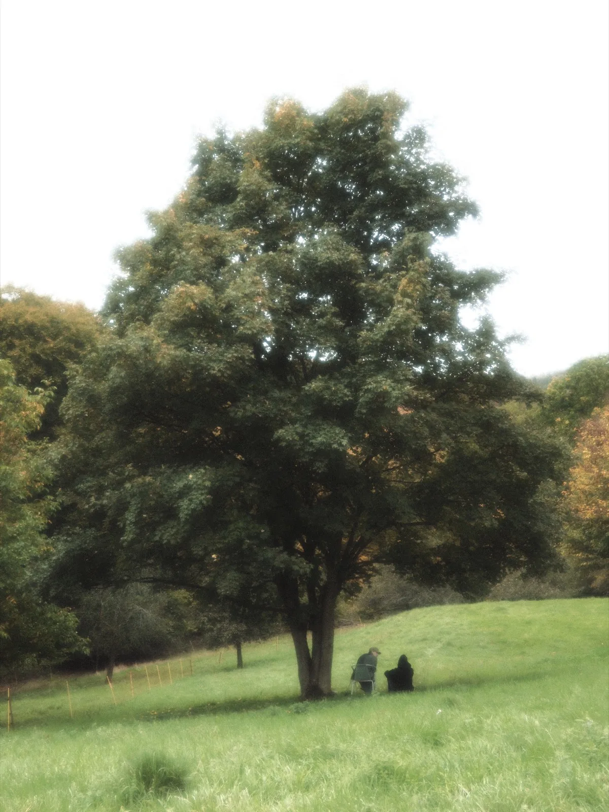 nature 7