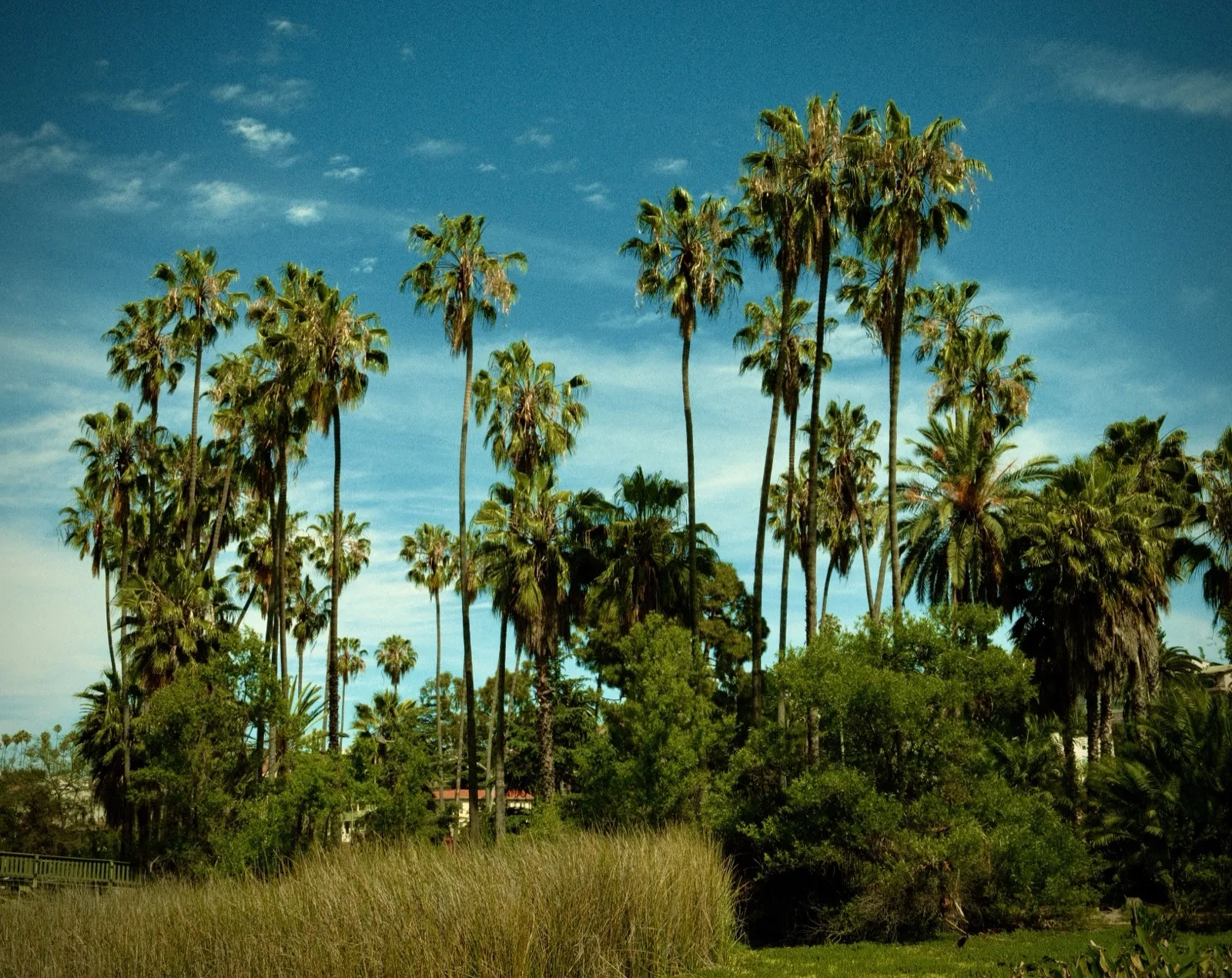 nature 8