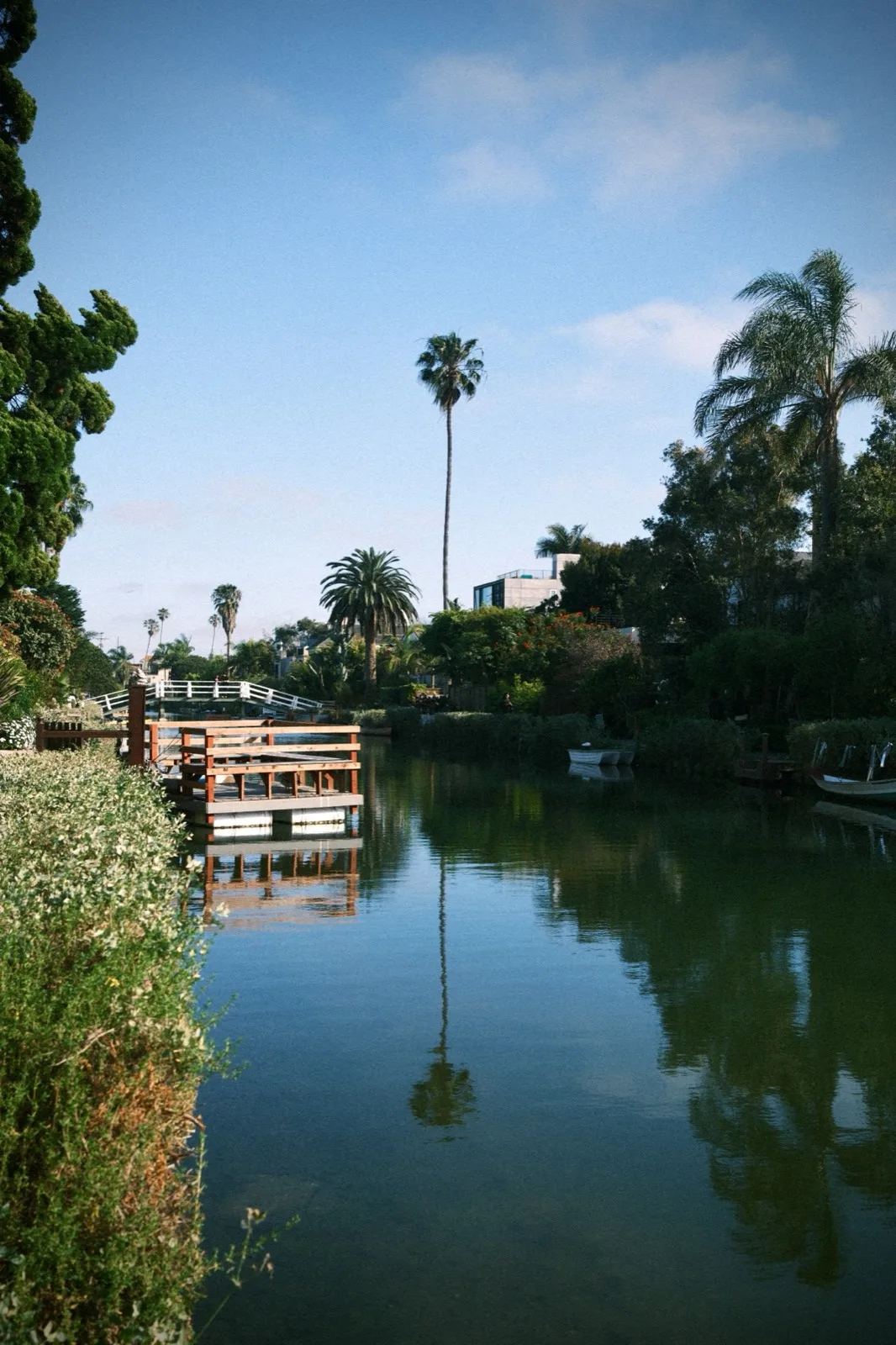 nature 9